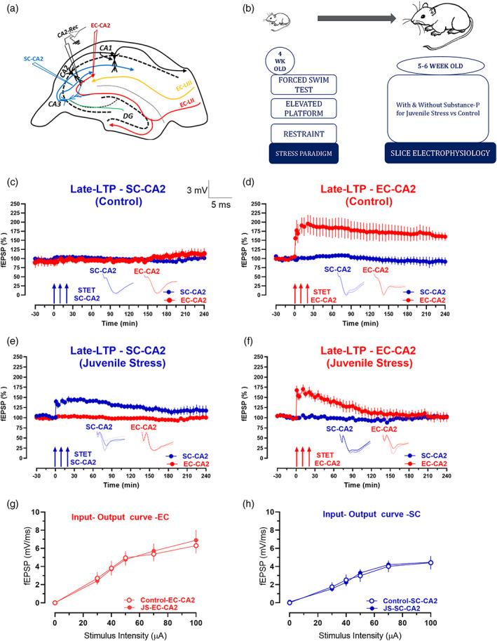https://cdn.ncbi.nlm.nih.gov/pmc/blobs/5b0c/10946601/68c08d095f73/HIPO-33-745-g003.jpg