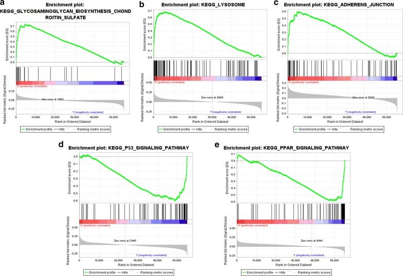 https://cdn.ncbi.nlm.nih.gov/pmc/blobs/5b0c/6986036/0facab0c9d7f/12935_2020_1113_Fig11_HTML.jpg