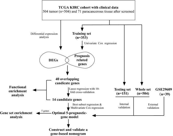 https://cdn.ncbi.nlm.nih.gov/pmc/blobs/5b0c/6986036/73150efa81c7/12935_2020_1113_Fig1_HTML.jpg