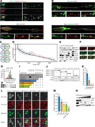 https://cdn.ncbi.nlm.nih.gov/pmc/blobs/5b0e/6920029/b7ac85e0c0a9/aax2705-F4.jpg