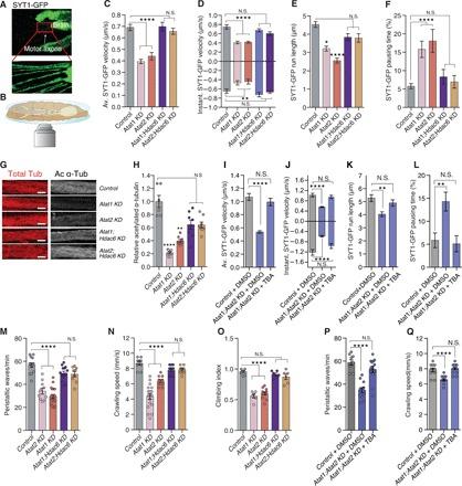 https://cdn.ncbi.nlm.nih.gov/pmc/blobs/5b0e/6920029/f9a22423d111/aax2705-F2.jpg
