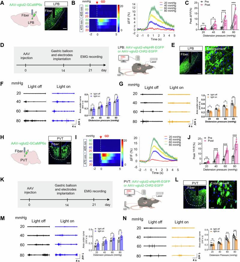 https://cdn.ncbi.nlm.nih.gov/pmc/blobs/5b0f/11561356/28b6955c8ca3/41467_2024_54056_Fig4_HTML.jpg