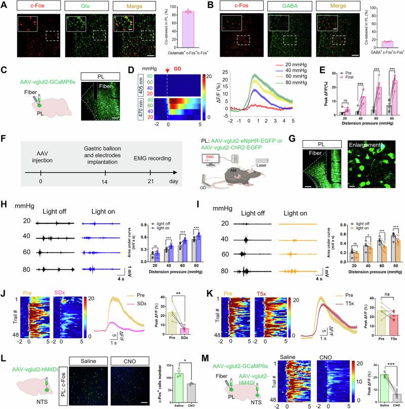 https://cdn.ncbi.nlm.nih.gov/pmc/blobs/5b0f/11561356/49a846d2850a/41467_2024_54056_Fig5_HTML.jpg