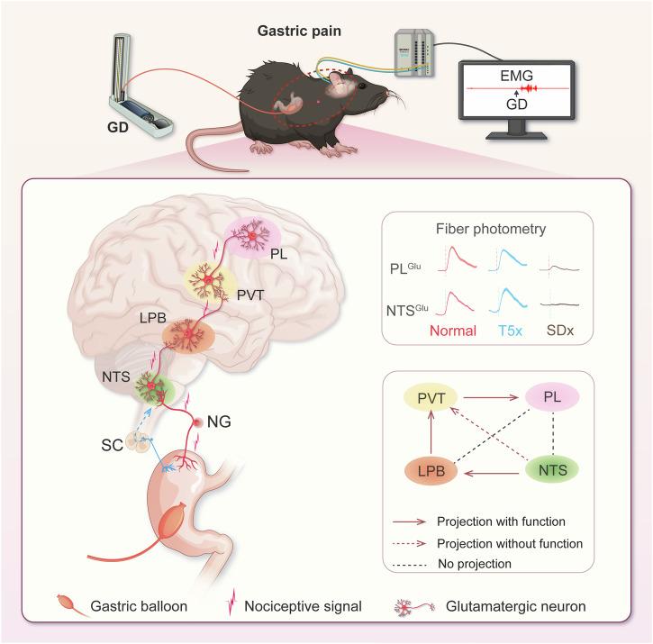 https://cdn.ncbi.nlm.nih.gov/pmc/blobs/5b0f/11561356/a43e0197715b/41467_2024_54056_Fig8_HTML.jpg