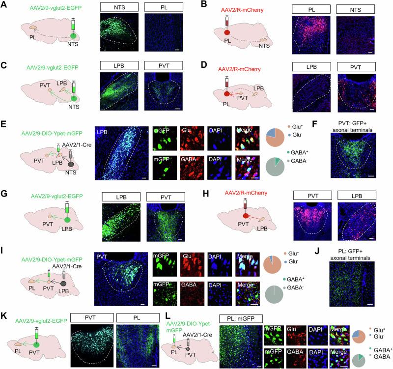 https://cdn.ncbi.nlm.nih.gov/pmc/blobs/5b0f/11561356/b561a06379f7/41467_2024_54056_Fig2_HTML.jpg