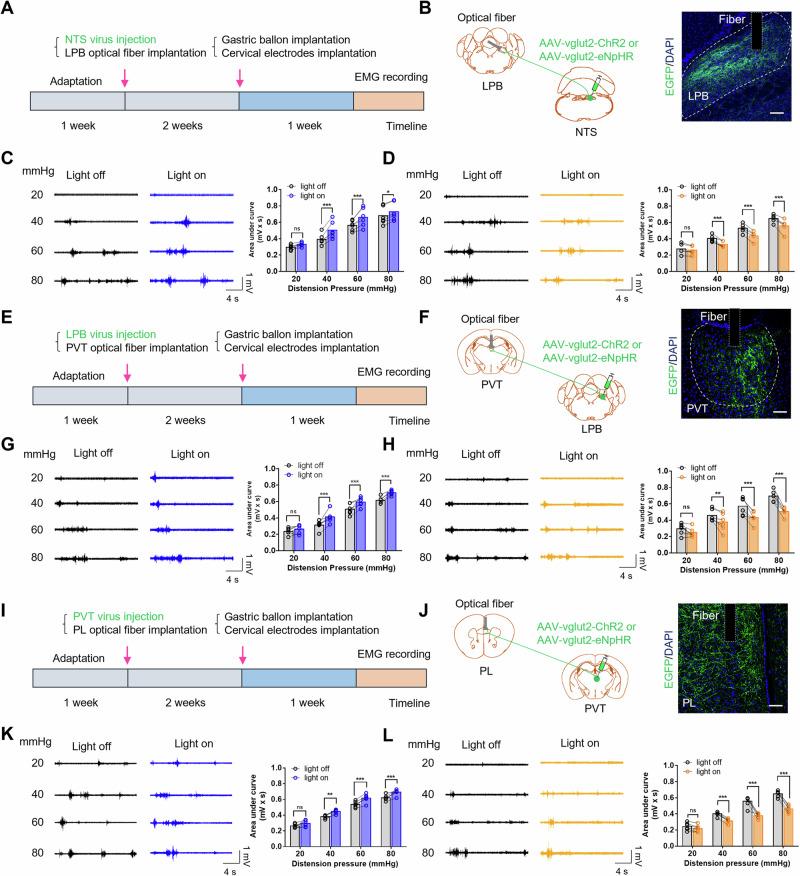 https://cdn.ncbi.nlm.nih.gov/pmc/blobs/5b0f/11561356/b90d4e33edbd/41467_2024_54056_Fig6_HTML.jpg