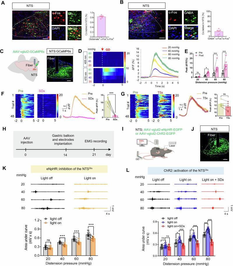 https://cdn.ncbi.nlm.nih.gov/pmc/blobs/5b0f/11561356/e9aaa70ee7dd/41467_2024_54056_Fig3_HTML.jpg
