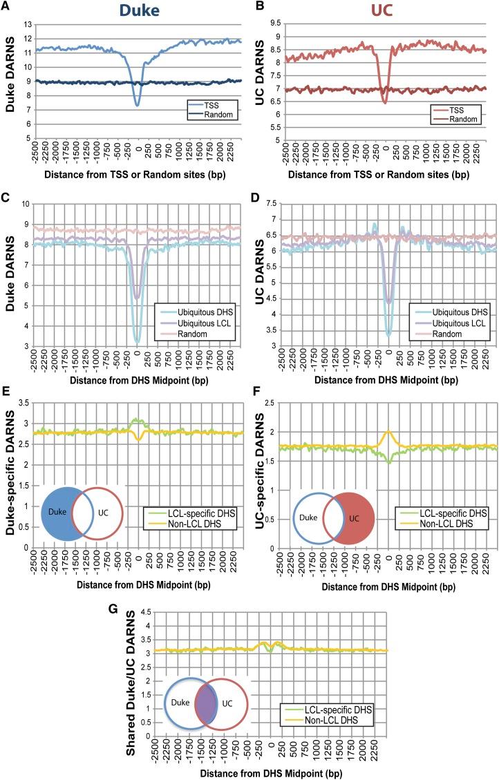 https://cdn.ncbi.nlm.nih.gov/pmc/blobs/5b0f/3698505/14d08842d493/1118fig6.jpg