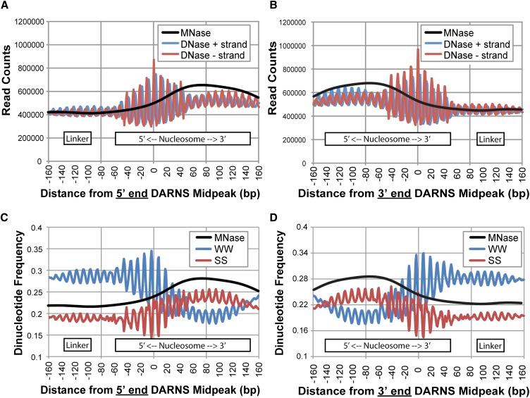https://cdn.ncbi.nlm.nih.gov/pmc/blobs/5b0f/3698505/4ad5600148a5/1118fig5.jpg
