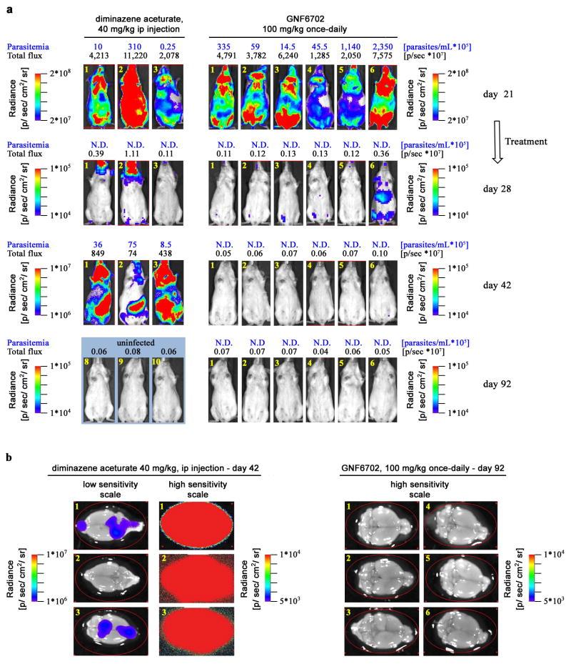 https://cdn.ncbi.nlm.nih.gov/pmc/blobs/5b12/5161665/c1becc731889/nihms807671f6.jpg