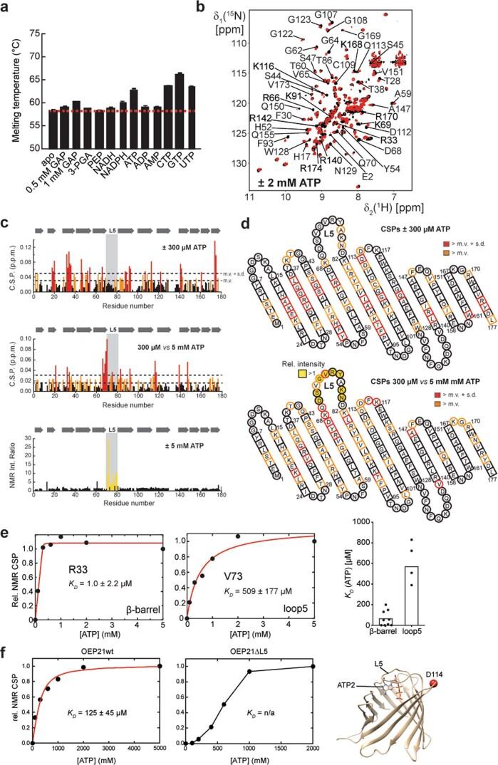 https://cdn.ncbi.nlm.nih.gov/pmc/blobs/5b13/10279527/caf29c5fa724/41594_2023_984_Fig8_ESM.jpg