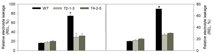 https://cdn.ncbi.nlm.nih.gov/pmc/blobs/5b16/4264158/427470877e56/ijms-15-20101-g004a.jpg