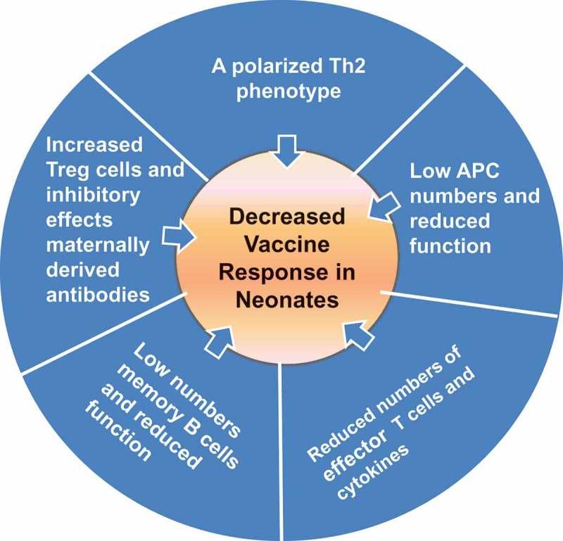https://cdn.ncbi.nlm.nih.gov/pmc/blobs/5b16/7103676/9be28a4db2b3/IERM_A_1642748_F0001_OC.jpg