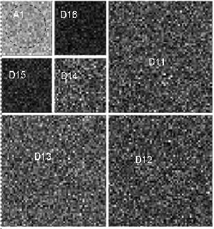 https://cdn.ncbi.nlm.nih.gov/pmc/blobs/5b1b/555555/de1be18810f5/1472-6807-5-5-2.jpg