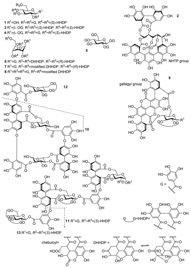https://cdn.ncbi.nlm.nih.gov/pmc/blobs/5b1b/7828275/a7f51ea7d44b/molecules-26-00373-g001.jpg