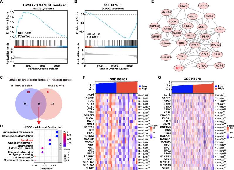 https://cdn.ncbi.nlm.nih.gov/pmc/blobs/5b1e/11674180/475b8b83e69e/12935_2024_3626_Fig5_HTML.jpg