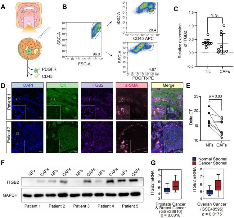 https://cdn.ncbi.nlm.nih.gov/pmc/blobs/5b1f/7667693/95ef0dd377c6/thnov10p12044g001.jpg