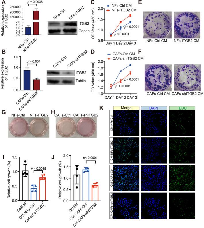 https://cdn.ncbi.nlm.nih.gov/pmc/blobs/5b1f/7667693/ffabd6670bda/thnov10p12044g003.jpg