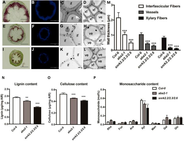 https://cdn.ncbi.nlm.nih.gov/pmc/blobs/5b1f/7865148/ae69716c003c/pnas.2010911118fig01.jpg