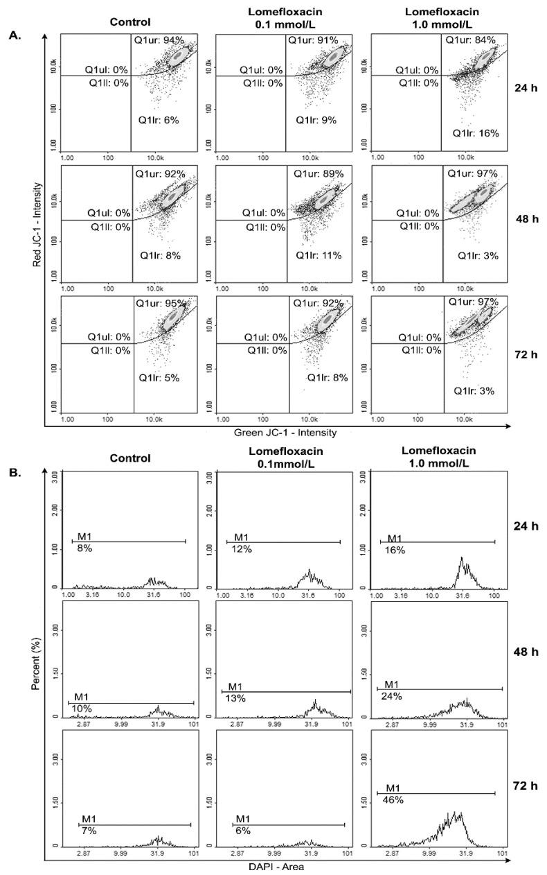 https://cdn.ncbi.nlm.nih.gov/pmc/blobs/5b20/5666875/a2ebf67880b7/ijms-18-02194-g007.jpg