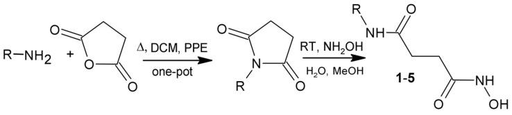 https://cdn.ncbi.nlm.nih.gov/pmc/blobs/5b22/10671431/1bd8ac816d25/ijms-24-16360-sch001.jpg