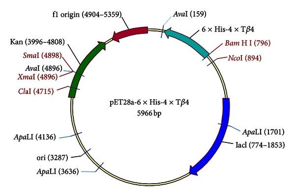 https://cdn.ncbi.nlm.nih.gov/pmc/blobs/5b23/3671520/f9f9e0caa625/BMRI2013-241721.001.jpg