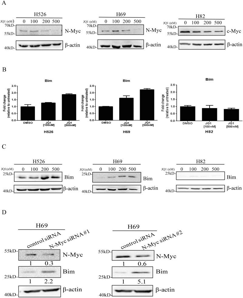 https://cdn.ncbi.nlm.nih.gov/pmc/blobs/5b26/5689687/22ef0a6f30d9/oncotarget-08-86312-g002.jpg
