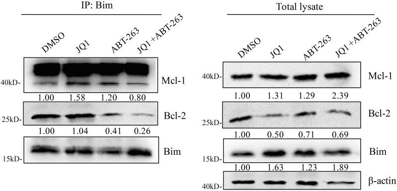 https://cdn.ncbi.nlm.nih.gov/pmc/blobs/5b26/5689687/4a927f448a8c/oncotarget-08-86312-g004.jpg