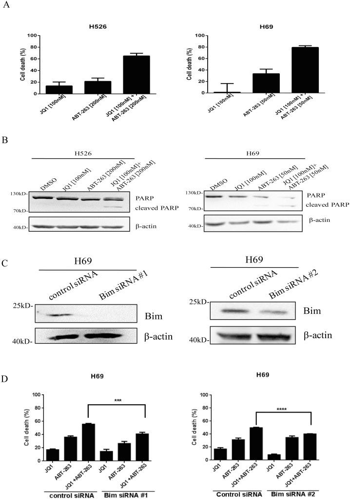 https://cdn.ncbi.nlm.nih.gov/pmc/blobs/5b26/5689687/a60ea9b061b1/oncotarget-08-86312-g003.jpg
