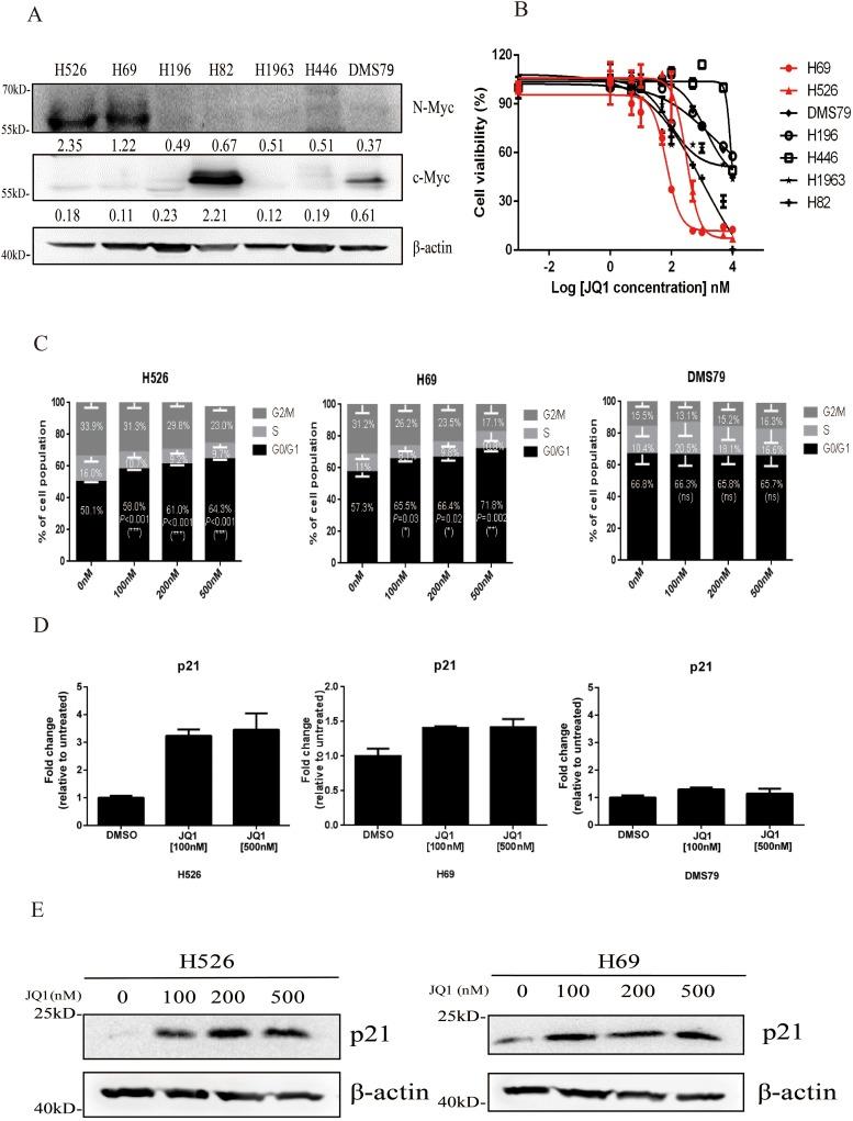 https://cdn.ncbi.nlm.nih.gov/pmc/blobs/5b26/5689687/c33aeea0da99/oncotarget-08-86312-g001.jpg