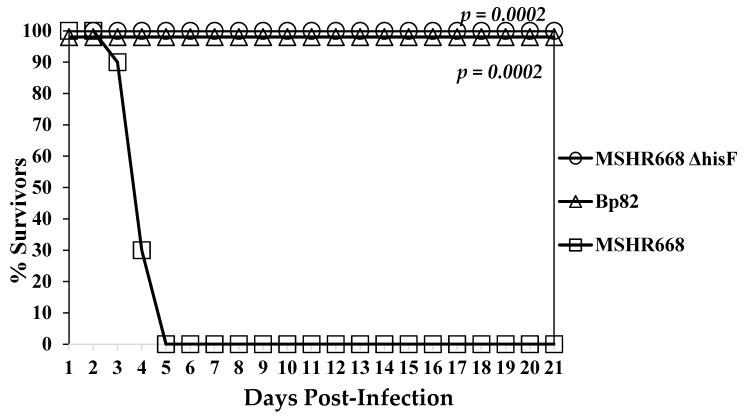 https://cdn.ncbi.nlm.nih.gov/pmc/blobs/5b27/6963190/5f9f6bd26651/vaccines-07-00196-g004.jpg