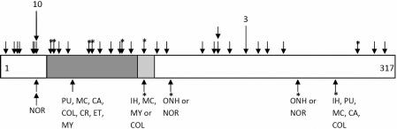https://cdn.ncbi.nlm.nih.gov/pmc/blobs/5b2b/2862242/a9f095c38159/mv-v16-768-f2.jpg