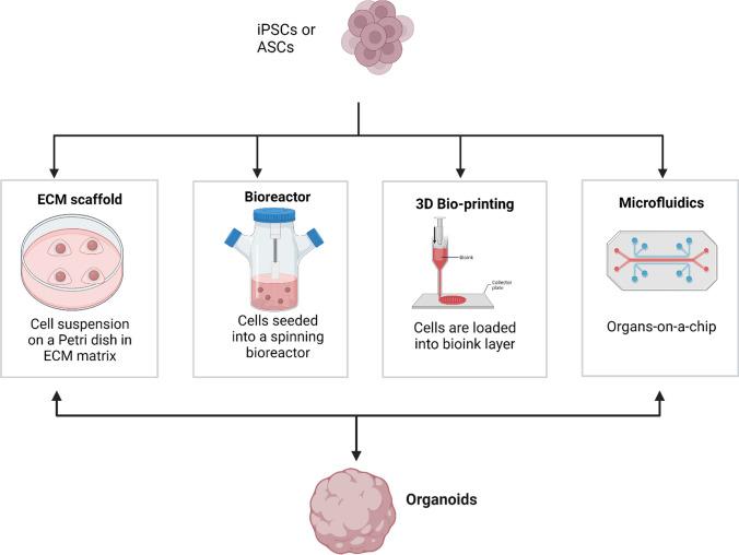 https://cdn.ncbi.nlm.nih.gov/pmc/blobs/5b2d/10837234/9a97133020e4/12015_2023_10655_Fig3_HTML.jpg
