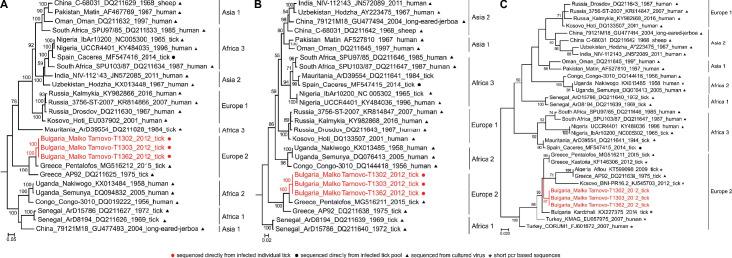 https://cdn.ncbi.nlm.nih.gov/pmc/blobs/5b2d/7652417/9af2547290dd/elife-50999-fig1-figsupp1.jpg
