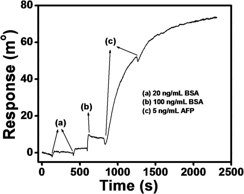 https://cdn.ncbi.nlm.nih.gov/pmc/blobs/5b30/12081753/bbfaf788318d/41598_2025_99351_Fig6_HTML.jpg