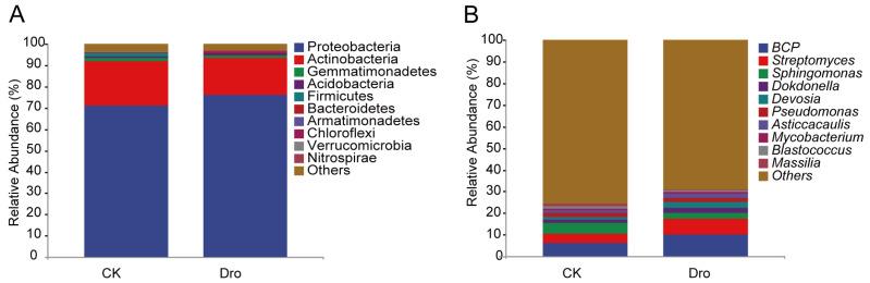 https://cdn.ncbi.nlm.nih.gov/pmc/blobs/5b32/11052302/10751284f15e/microorganisms-12-00790-g002.jpg