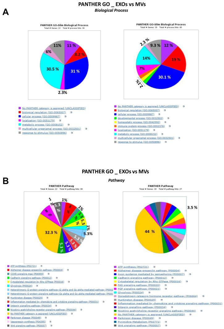 https://cdn.ncbi.nlm.nih.gov/pmc/blobs/5b35/11011151/a1fe6a755669/cells-13-00571-g003.jpg