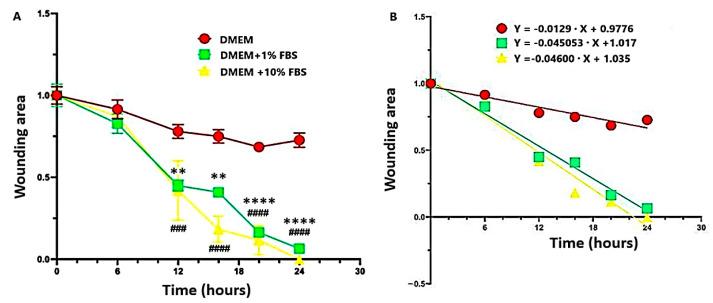 https://cdn.ncbi.nlm.nih.gov/pmc/blobs/5b35/11989031/c31ad78f2435/ijms-26-03051-g011.jpg