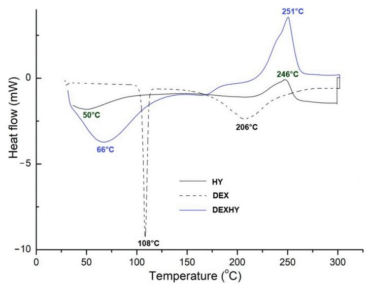 https://cdn.ncbi.nlm.nih.gov/pmc/blobs/5b35/11989031/f8668a21162a/ijms-26-03051-g003.jpg
