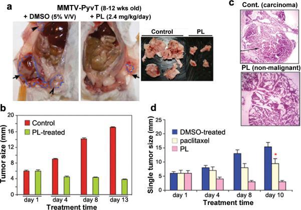 https://cdn.ncbi.nlm.nih.gov/pmc/blobs/5b35/3316487/4bf3763d5216/nihms-313002-f0002.jpg
