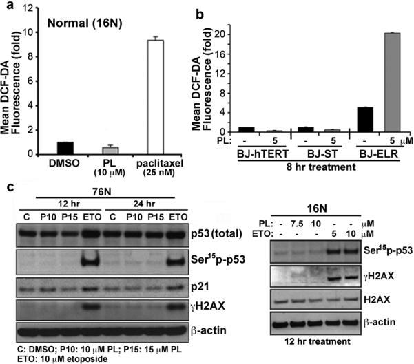 https://cdn.ncbi.nlm.nih.gov/pmc/blobs/5b35/3316487/70bc2694049d/nihms-313002-f0004.jpg