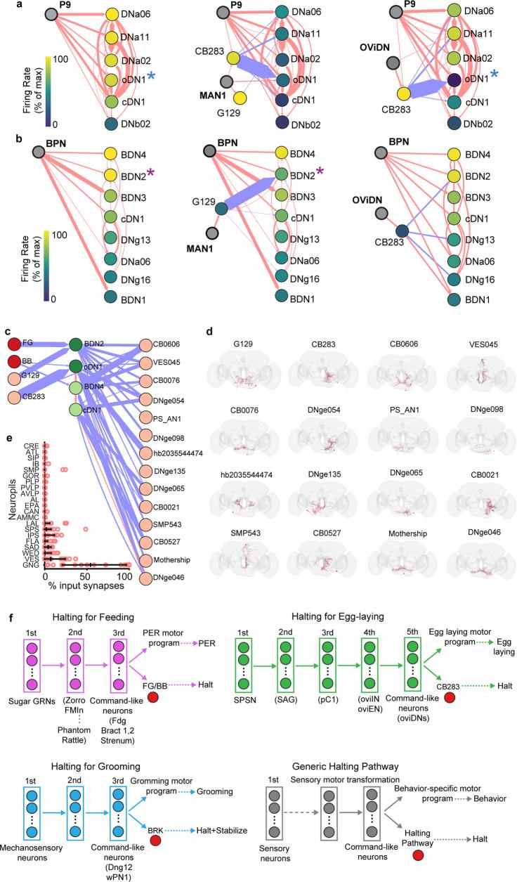 https://cdn.ncbi.nlm.nih.gov/pmc/blobs/5b36/11446846/9b6559bdcffa/41586_2024_7854_Fig16_ESM.jpg