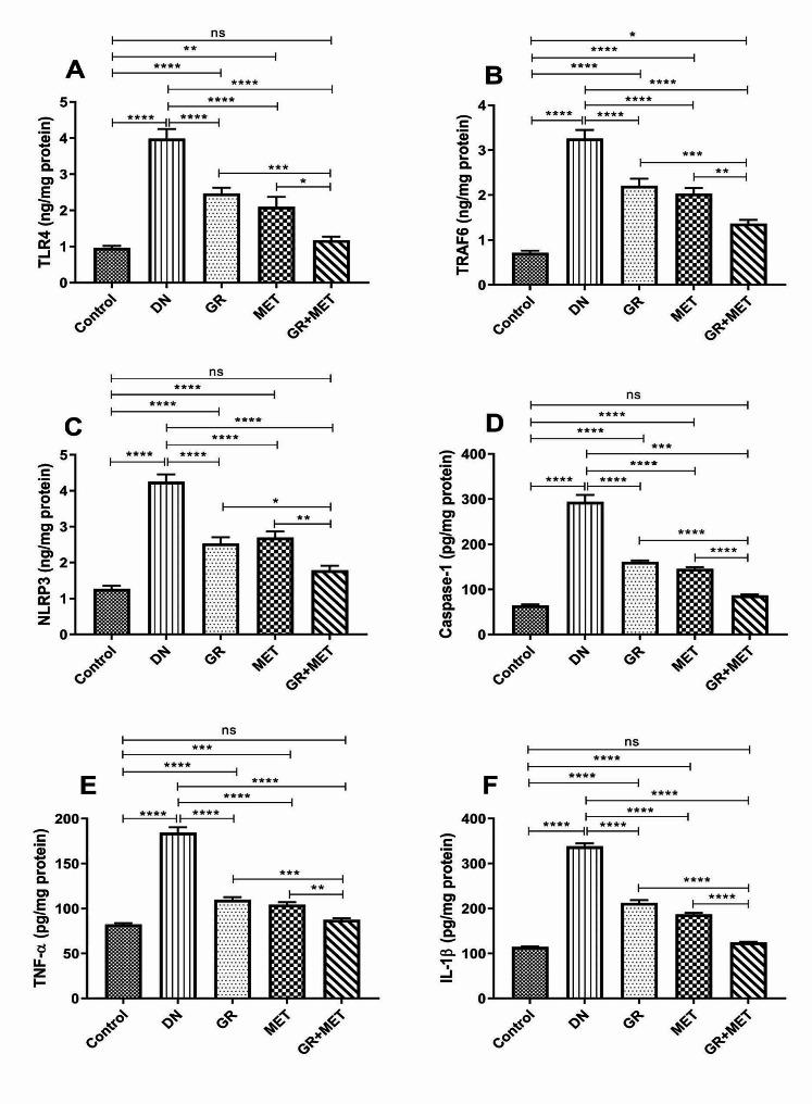 https://cdn.ncbi.nlm.nih.gov/pmc/blobs/5b37/11265012/8762d5497572/40659_2024_527_Fig5_HTML.jpg