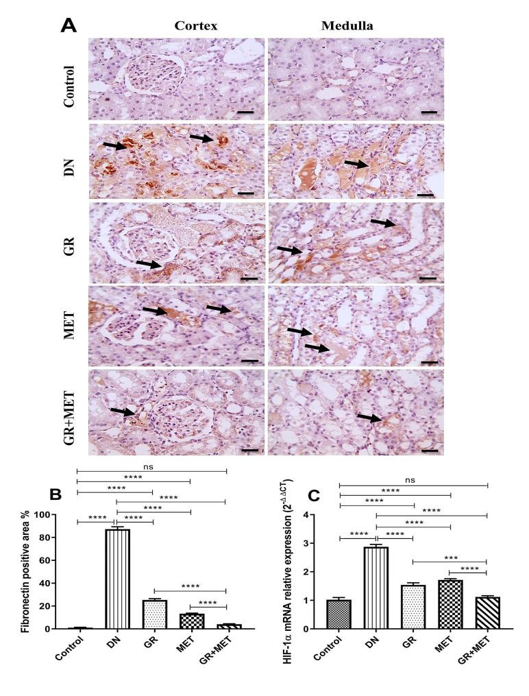 https://cdn.ncbi.nlm.nih.gov/pmc/blobs/5b37/11265012/9635c141ed7b/40659_2024_527_Fig9_HTML.jpg