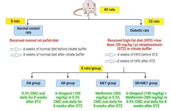 https://cdn.ncbi.nlm.nih.gov/pmc/blobs/5b37/11265012/9b59eb8e8338/40659_2024_527_Fig1_HTML.jpg
