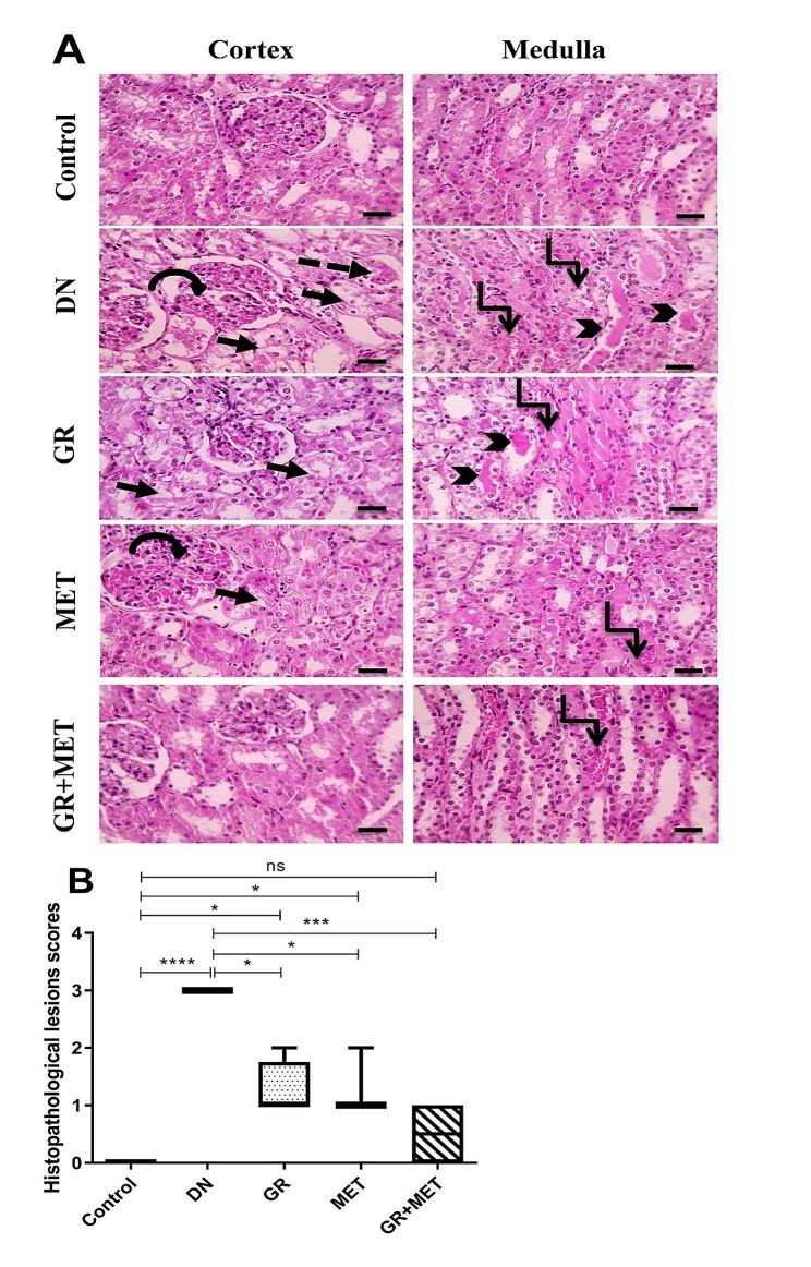 https://cdn.ncbi.nlm.nih.gov/pmc/blobs/5b37/11265012/9c9d94a3a888/40659_2024_527_Fig3_HTML.jpg