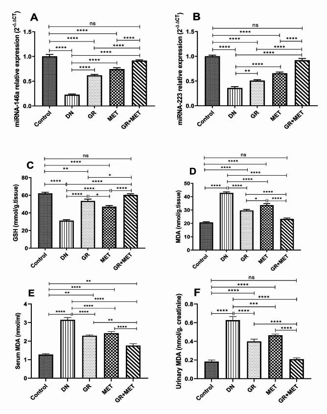https://cdn.ncbi.nlm.nih.gov/pmc/blobs/5b37/11265012/ba2c39744ed6/40659_2024_527_Fig7_HTML.jpg
