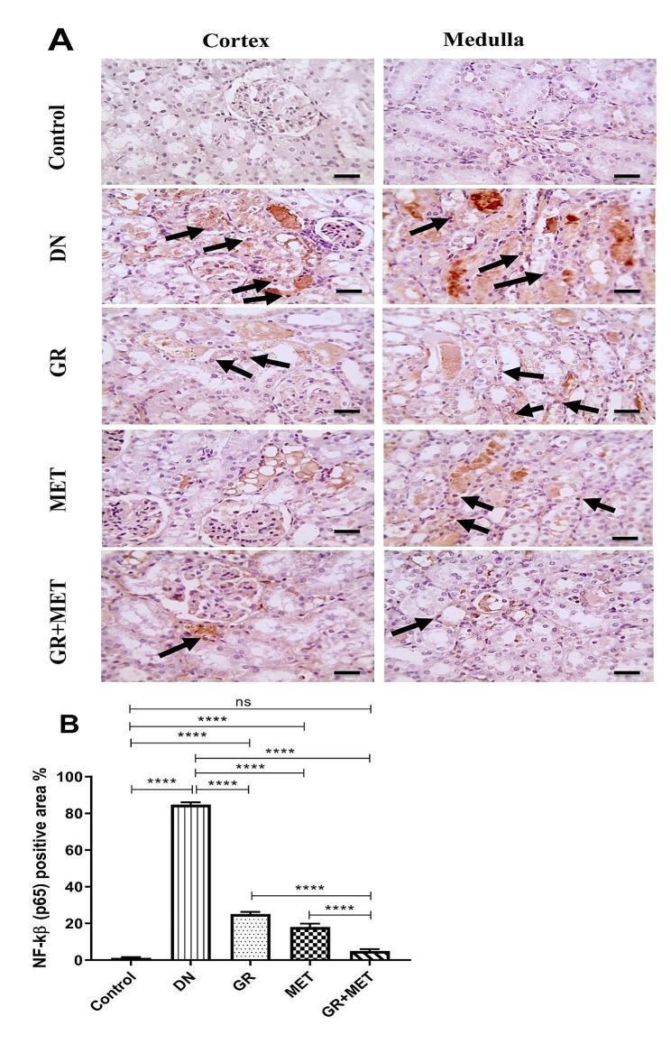 https://cdn.ncbi.nlm.nih.gov/pmc/blobs/5b37/11265012/eb147a953474/40659_2024_527_Fig6_HTML.jpg