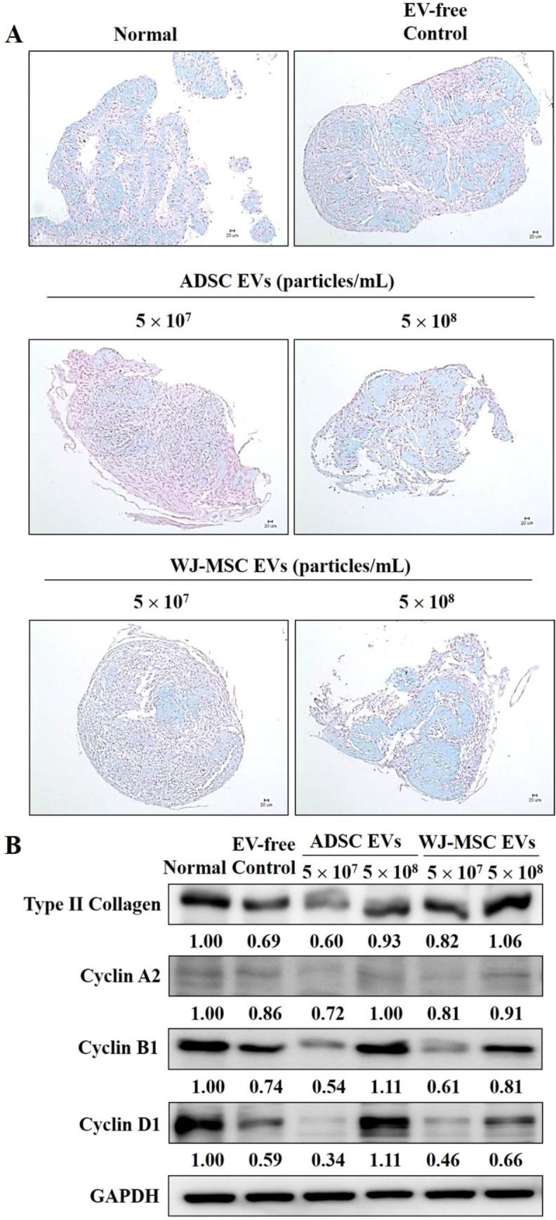 https://cdn.ncbi.nlm.nih.gov/pmc/blobs/5b37/9679102/e952c7f0849c/13770_2022_490_Fig5_HTML.jpg