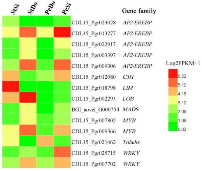 https://cdn.ncbi.nlm.nih.gov/pmc/blobs/5b38/10346766/398d53af4510/plants-12-02402-g010.jpg